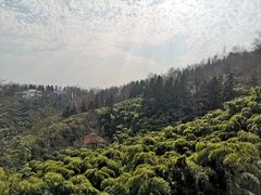 -莫干山风景区