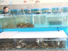 -蓝珊甄选海鲜自助·火锅大排档(近阿那亚店)