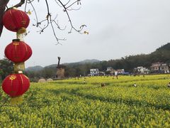 -红山村