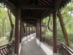 -上海佘山国家森林公园天马山园