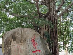 -乌山风景区