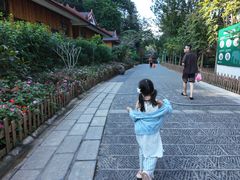 -野象谷景区