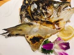 -割烹旭日本料理(龙湖狮山天街店)