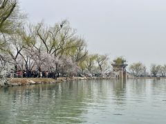 -颐和园