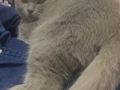 -康成宠物医院24H·CT·核磁共振