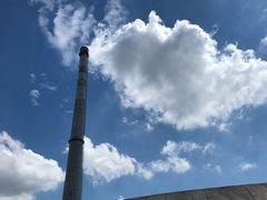 -柴犬高等学院·狗咖·柴犬售卖·宠物训练