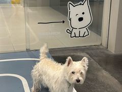 -帕帕拉兹宠物(亚洲旗舰店)