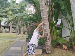 -三亚珠江南田温泉度假区