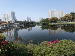 -荔湾湖公园