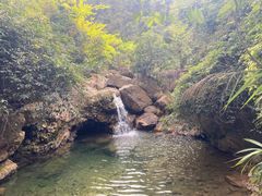 -南海湾森林生态园