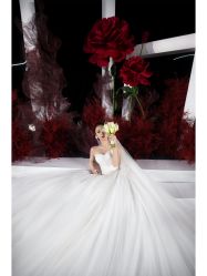 -MECCI婚礼摄影跟拍(红东方广场店)