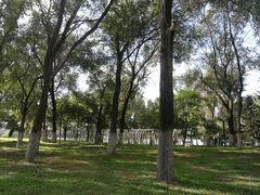 -长白岛森林公园