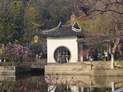 -红梅公园