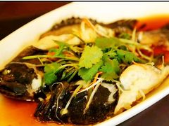 清蒸龙胆鱼-国惠大酒楼(宝龙店)