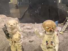 -济州岛泰迪熊博物馆