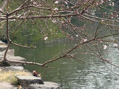 -中原一大碗(湖滨店)