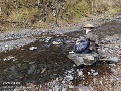 -凤凰山国家森林公园