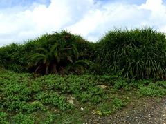 -龙坑生态保护区