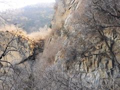 -北京鹫峰国家森林公园