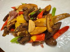 -滇野云南野生菌餐厅(陕西南路店)