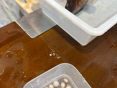 -十八字金·银饰·拼豆·开蚌DIY(魏公芳华里店)