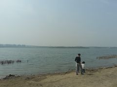 -丁香湖公园