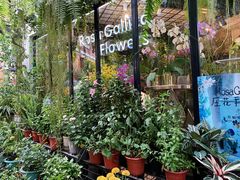 -% Arabica阿拉比卡咖啡(武康路店)
