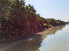 -大湾区中央湿地公园