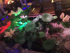 -韵秋荷(宝山龙湖天街店)
