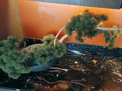 -百富源·海鲜辽菜(浑河堡店)