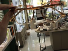-菲狐眼镜(总店)