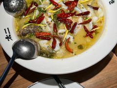 -太二酸菜鱼(正大广场店)