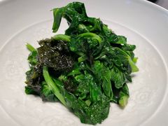 豌豆苗-子福慧(虹桥店)