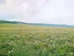 -塞罕坝国家级自然保护区