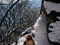 -崂山巨峰游览区
