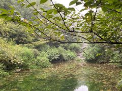 -杭州半山国家森林公园