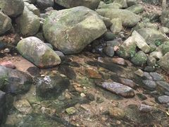 -逍遥谷景区