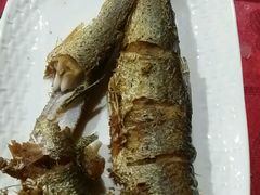 -贡格尔草原