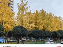 -两江国际影视城