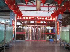 -东江湖游水三文鱼美食城