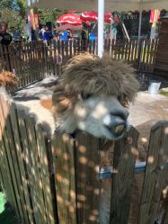 -萌宠亲子动物乐园(槐房万达店)