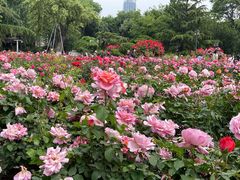 -睦南公园