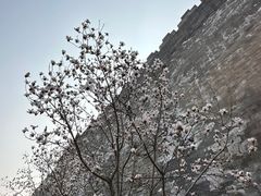 -东华门大街小区