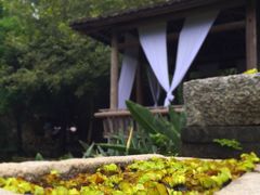 -厦门园林植物园-植物园滴水山房