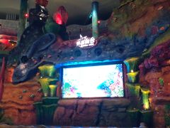 -青岛嘉年华主题乐园