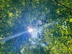 -杭州半山国家森林公园