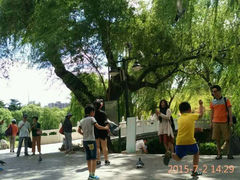 android_upload_pic-紫竹院公园冰场