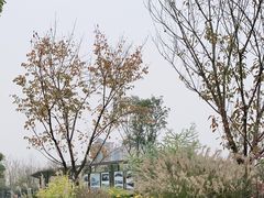 -府河摄影公园
