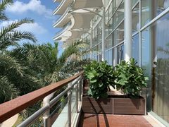 -彩丰楼中餐厅·早茶·点心·粤菜(海口华彩洲际酒店)