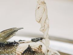 -东坊味道私房菜·地道顺德菜(大良店)